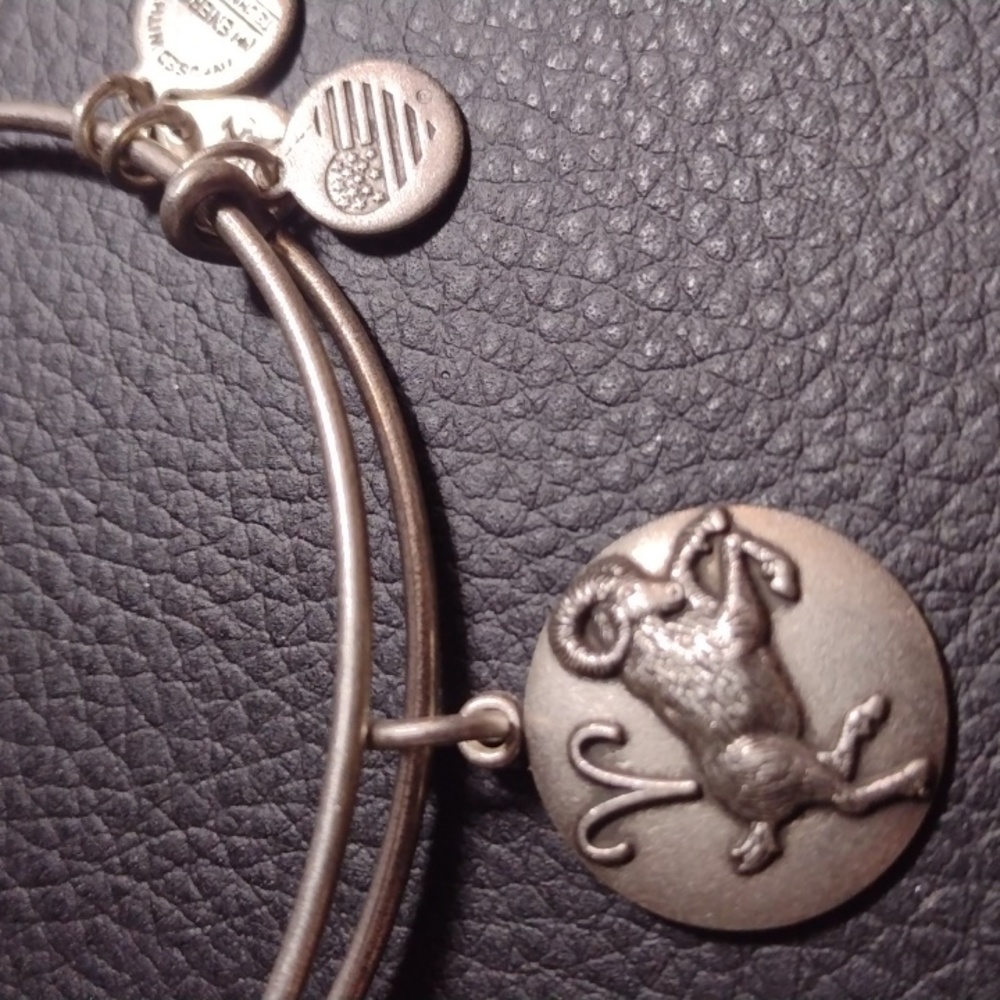 Alex and Ani Silver Zodiac Charm Bracelet